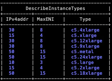 每個機器規格對應的 IP 以及 MaxENI