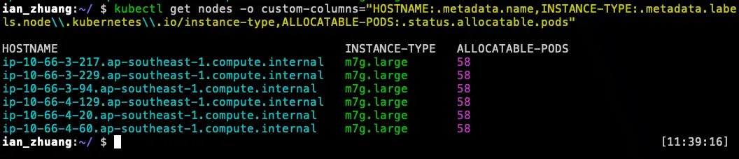 有問題的 Node Allocatable-Pods