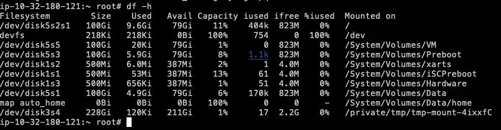 預設的 Disk 使用情況