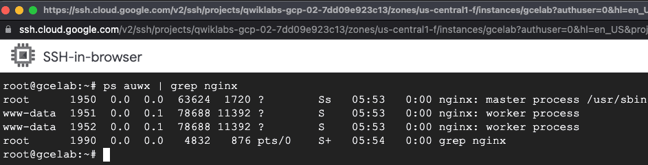 確認 NGINX 是否運行