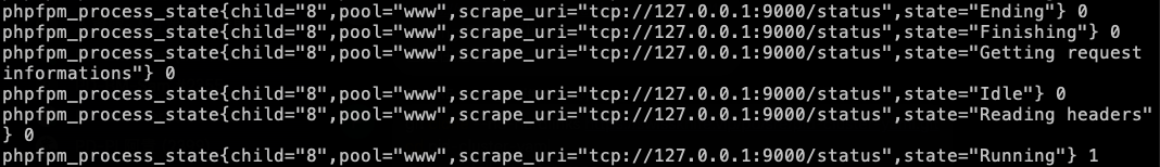 phpfpm-exporter metrics