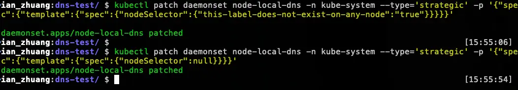 模擬 NodeLocal DNSCache 故障