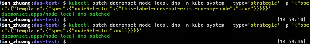 模擬 NodeLocal DNSCache 故障