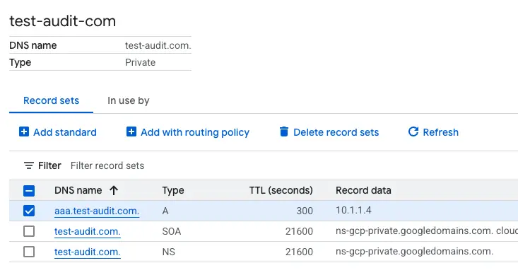 設定 cloud dns private