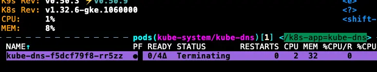 因為 KubeDNS 關成 0 顆，不會馬上關掉