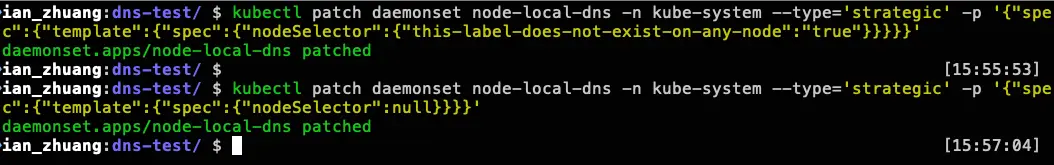 模擬 NodeLocal DNSCache 故障