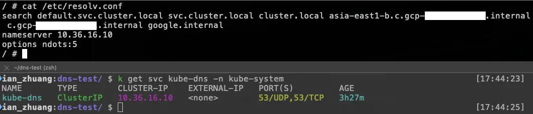 實際查看 /etc/resolv.conf