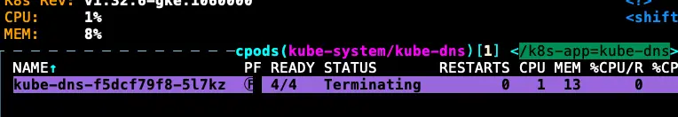 因為 KubeDNS 關成 0 顆，不會馬上關掉