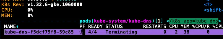 因為 KubeDNS 關成 0 顆，不會馬上關掉