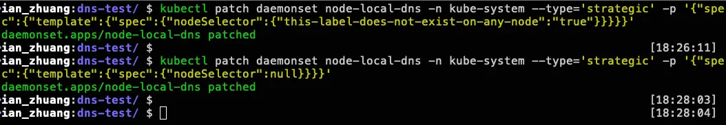 模擬 NodeLocal DNSCache 故障