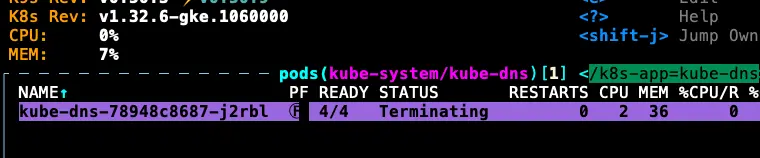 因為 KubeDNS Pod 不會馬上關掉,所以還能夠解析 DNS