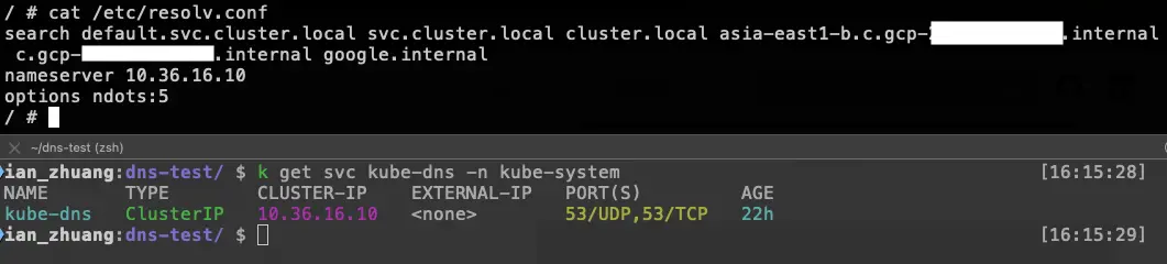 實際查看 /etc/resolv.conf