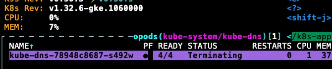 因為 KubeDNS Pod 不會馬上關掉,所以還能夠解析 DNS