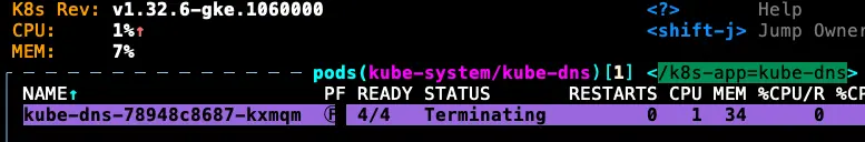 因為 KubeDNS Pod 不會馬上關掉,所以還能夠解析 DNS