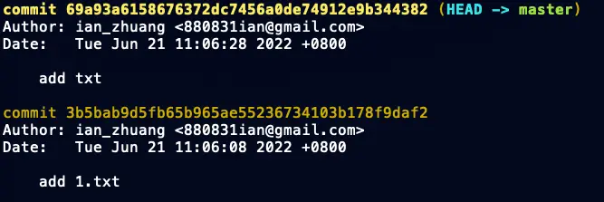 查看目前合併狀態的 git log