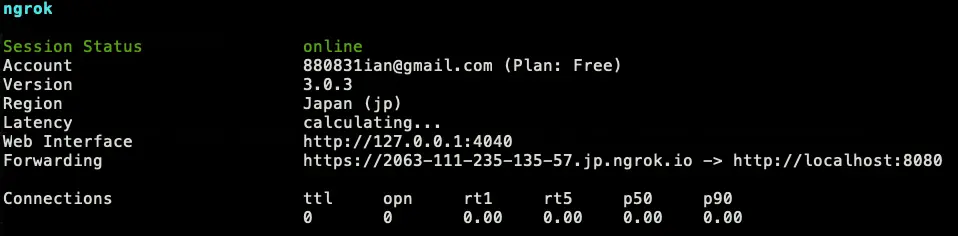 ngrok 將 Private IP 變成 Public IP