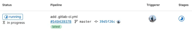 查看 Runner 已經進行執行單元測試檢測