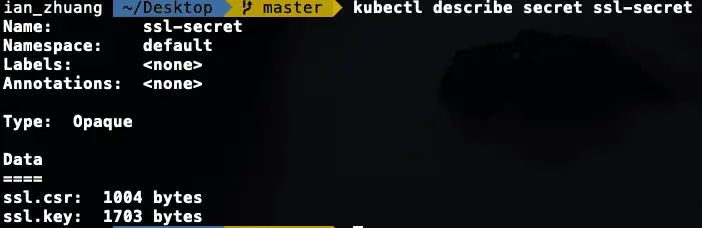 使用 describe 查看 Secrets 的內容