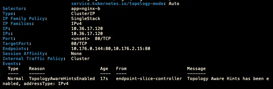 設定完成後,會顯示來至 endpoint-slice-controller