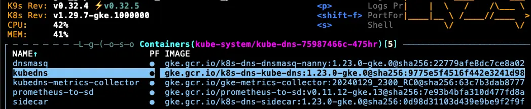 目前 GKE 1.29 KubeDNS