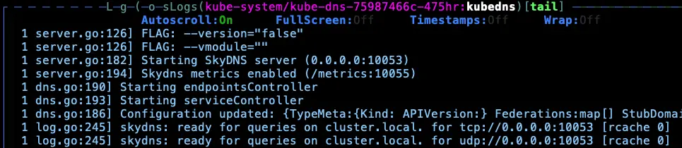 SkyDNS Metrics Port 以及監聽 10053 Port
