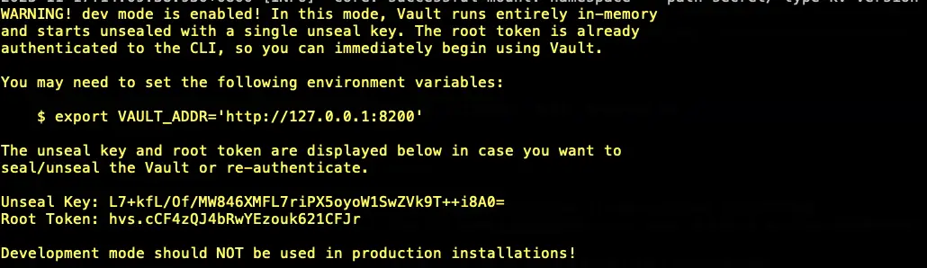 Vault DEV 環境提示