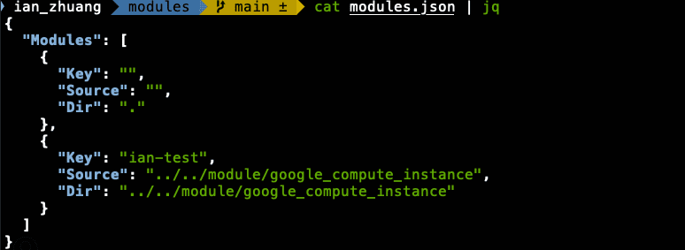 使用 module 會多一個 modules.json 檔案