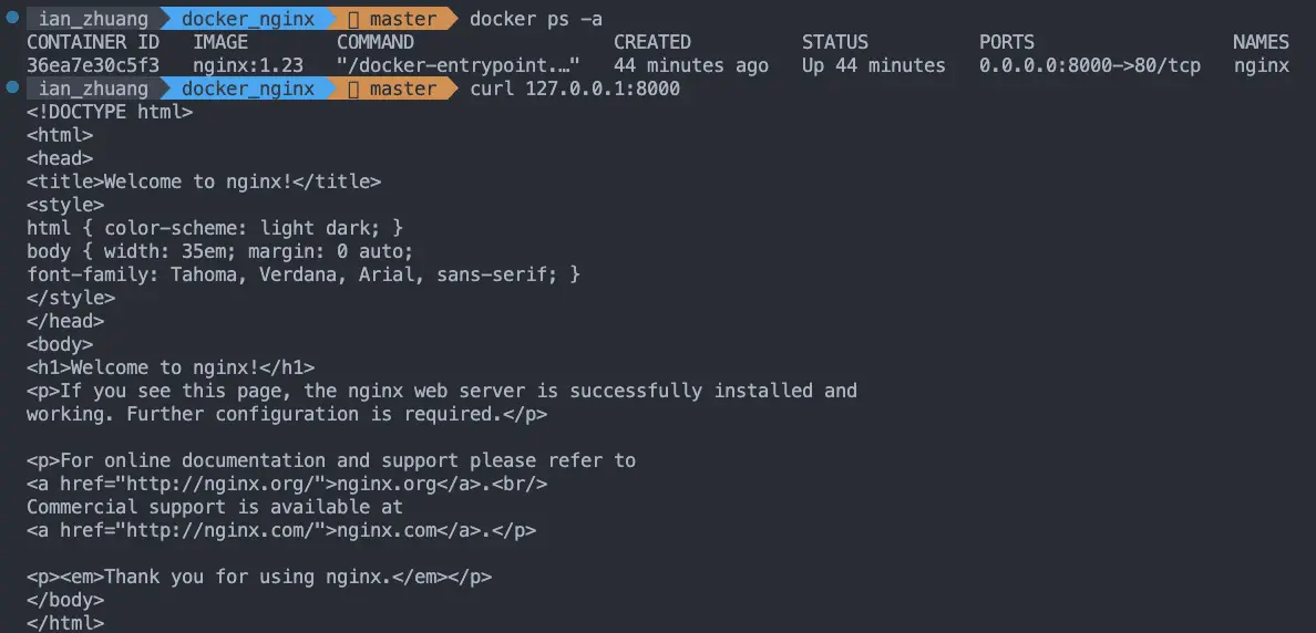 查看 docker nginx 以及檢查其服務